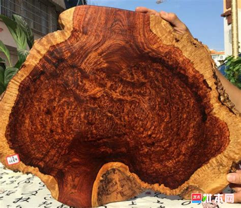 世界上最贵的三种木头，什么木头最贵-玉百库
