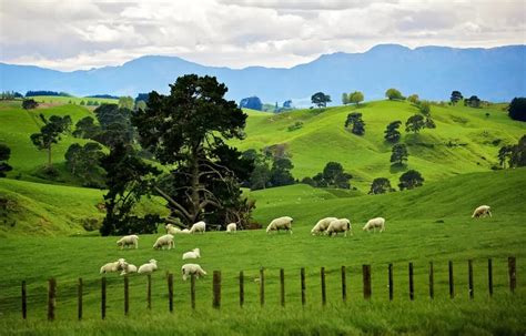 【经济】2021年一季度新西兰经济同比增长3.7% 新西兰统计局6月17日发布的GDP初步数据显示，2021年一季度，新西兰经济继续持续向好 ...