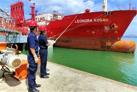 今年前8个月湛江外贸进出口总值299.6亿元，同比增长16.6%
