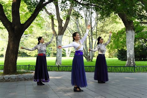 舞韵舞魂广场舞牧羊女神-歌曲欢快动听_广场舞教学视频_广场舞地盘