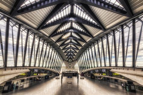 法国里昂机场站（Lyon Airport Railway Station）- 圣地亚哥·卡拉特拉瓦 - 建筑设计案例 - 树状模式