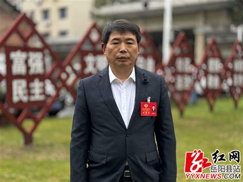 代表委员热议政府工作报告-岳阳县政府网