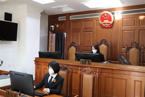 上海市高级人民法院网--上海闵行法院发布人身安全保护令案件审判白皮书
