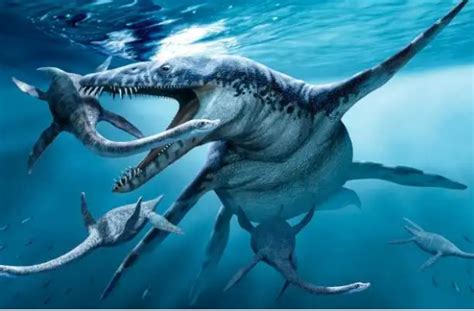 如果把史前海洋生物做一个比较，谁的体型是最大的？
