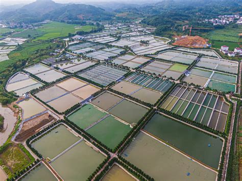四川3-5年将发展稻渔综合种养500万亩以上，今年培育7个现代水产园区 - 封面新闻