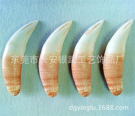 老虎牙图片