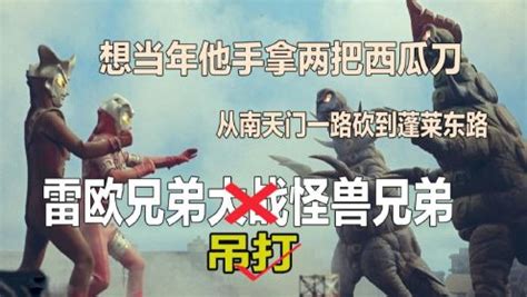 圆盘生物-希尔巴布尔美图片