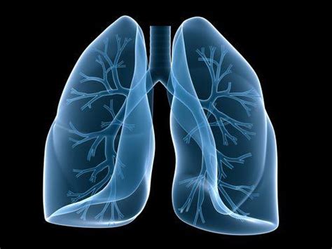 间质性肺炎（肺间质纤维化）到底是什么病？-记录与病魔抗争的两年多。 - 知乎