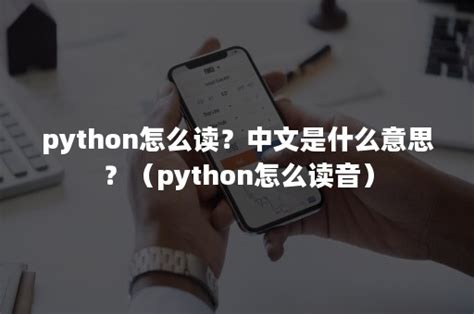 python怎么读？中文是什么意思？（python怎么读音）-FinClip