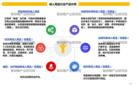 成人用品市场分析报告_2020-2026年中国成人用品行业深度研究与投资前景报告_中国产业研究报告网