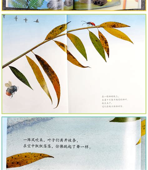 一片树叶绘本完整图片,一片树叶图片,一片树叶创意图片_大山谷图库
