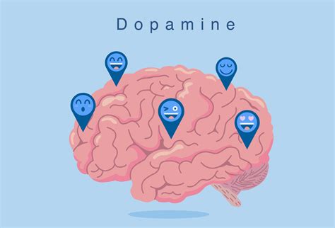 Dopamine：极简优雅的本地音乐播放器 - 初之音