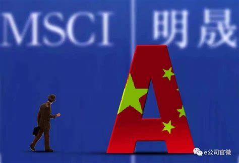 msci中国a股指数名单，msci是什么意思，msci有什么用__赢家财富网