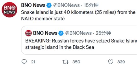 外媒：俄军占领黑海具有战略意义的蛇岛_手机新浪网