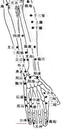 少泽的准确位置图图片