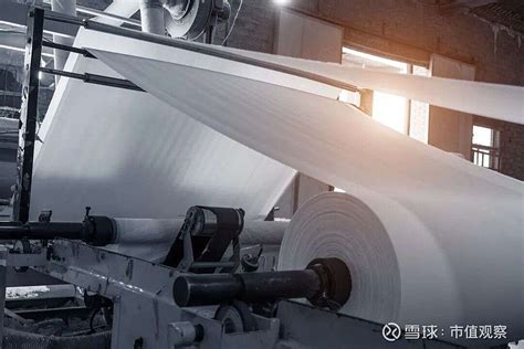太阳纸业两条生活用纸生产线顺利投产 纸业观察网 资讯中心
