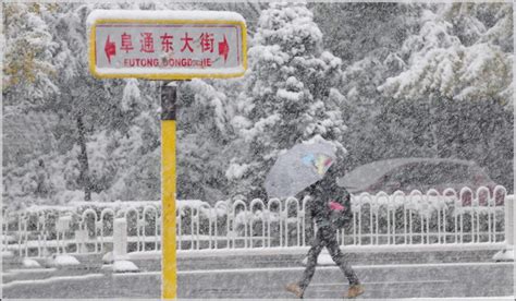 风雪中冒雪上班的市民高清图片下载_红动中国