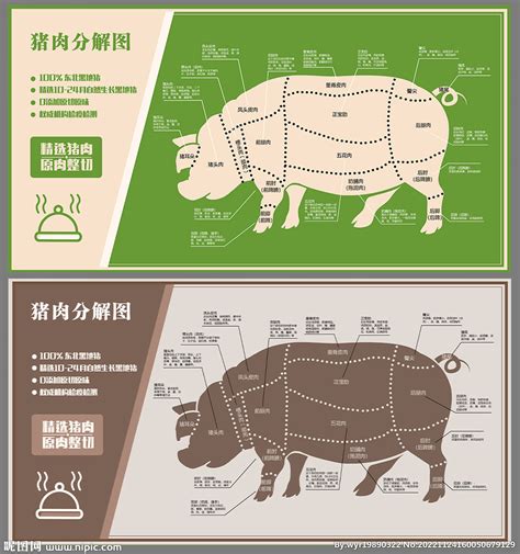 猪肉分解图猪肉各部位分解设计图__广告设计_广告设计_设计图库_昵图网nipic.com