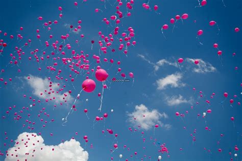 粉色的气球飘向空中白云蓝天自由爱情