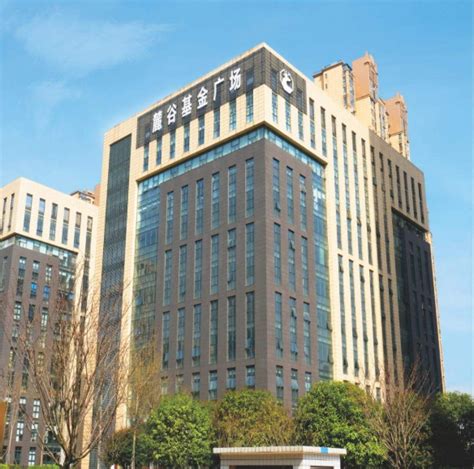 麓谷发展有限公司 - 集团企业 - 广州市乐访信息科技股份有限公司