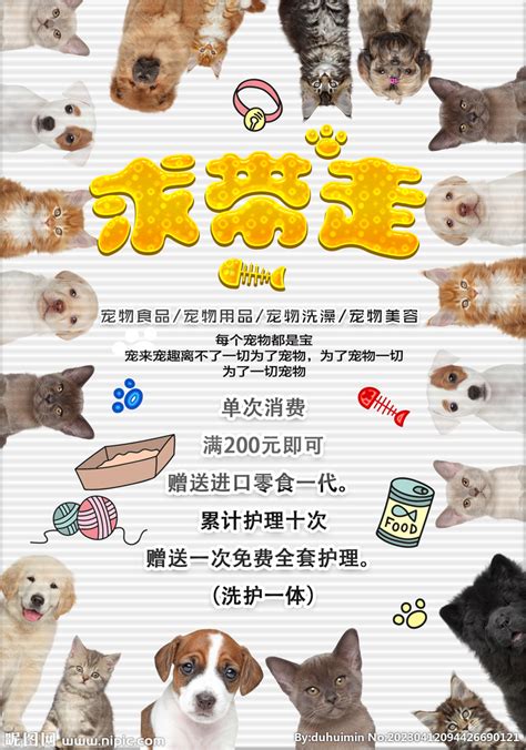 狗宠物店海报-狗宠物店海报模板-狗宠物店海报设计-千库网