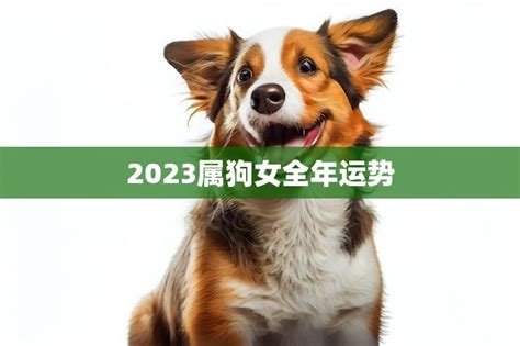 2023属狗女全年运势(幸运之年财运亨通) - 星辰运势