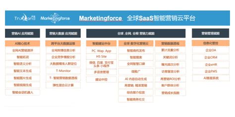 上海咨祥商务服务类网站制作,商务服务类网站设计,商务服务类网站建设方案-海淘科技