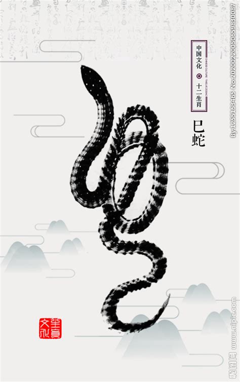 十二生肖插画海报 蛇设计图__海报设计_广告设计_设计图库_昵图网nipic.com