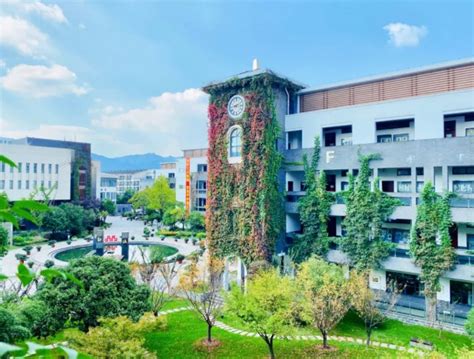 杭州市的大学排名及录取分数线2022一览表（2023高考参考）-高考100