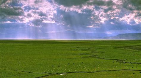 最美风景在路上，九色甘南自驾游，邂逅原生态的草原花海_凤凰网