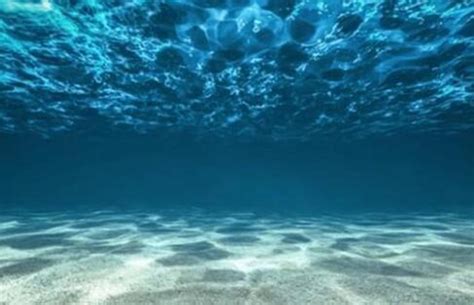 海底深处一万米到底有什么？ - 知乎
