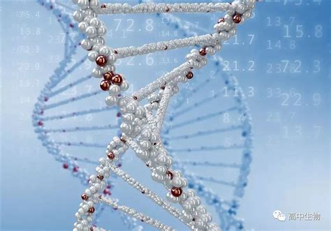 遗传变异、比较基因组学和疾病诊断 - NEJM医学前沿
