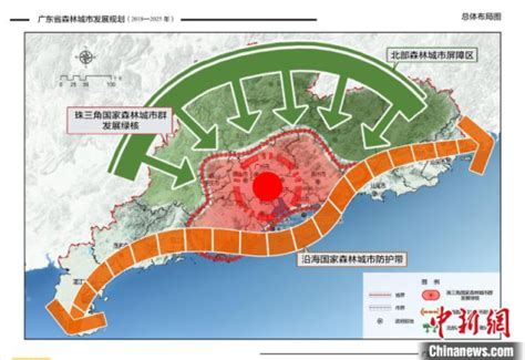 [中国新闻网]2020年广东全域建设国家森林城市