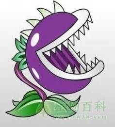 大嘴花图片