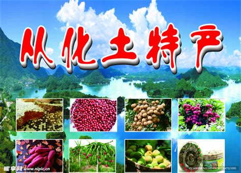 从化温泉镇有什么特产影古毛茶世界茗茶广州清远茶叶产品图片高清大图