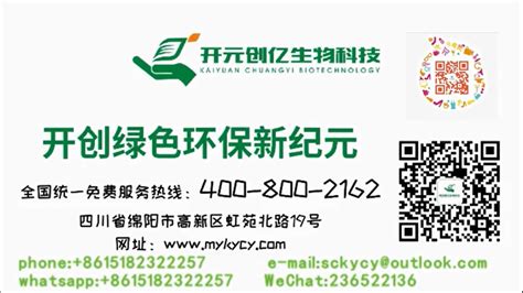 上海创仪汽车租赁有限公司logo设计 - 标小智LOGO神器