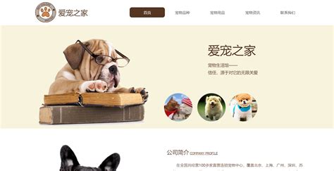 宠物网站|网页|运营设计|齐天大圣喝旺仔 - 原创作品 - 站酷 (ZCOOL)