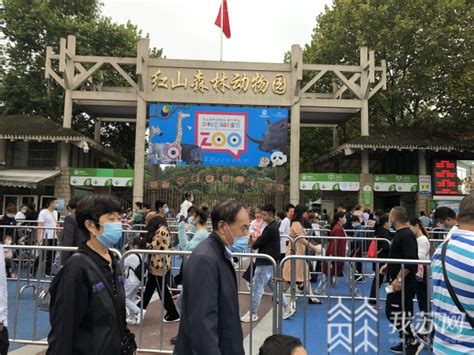 南京红山动物园客流量“报复性”恢复 游客：像过年一样_荔枝网新闻