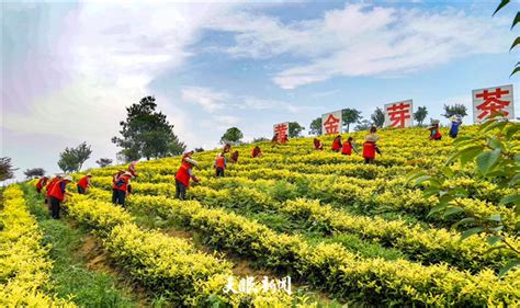 【天眼直击】贵州：长征国家文化公园建设将产生强大综合带动效益