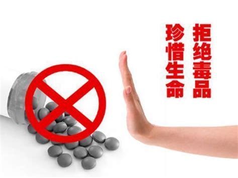 青岛举办禁毒日宣传 新型毒品现场展示(组图) - 青岛新闻网