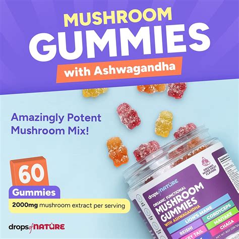 Buy Lions Mane Mushroom Supplement Gummies - Organic Mushroom Gummies ...