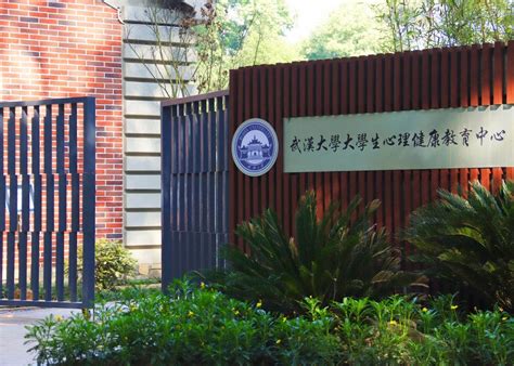 心理健康咨询-武汉大学资源与环境科学学院