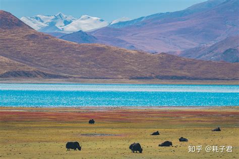西藏林芝，著名景点全盘点 - 知乎