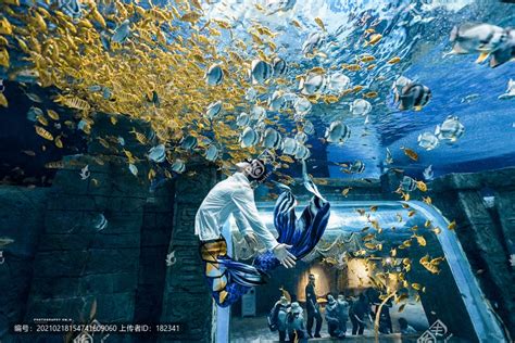 看人鱼共舞，赏海洋生物多样性之美-民生-长沙晚报网