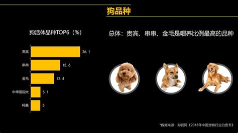宠物电商APP开发用户画像分析-上海艾艺