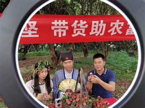 “游美县·带靓货”直播电商助农计划在增城启动 - 综合 - 中国网•东海资讯