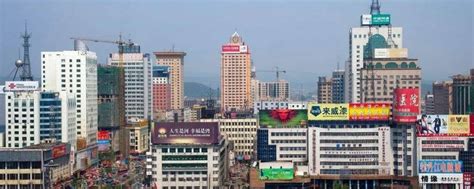 (双鸭山市)2020年宝清县国民经济和社会发展统计公报-红黑统计公报库