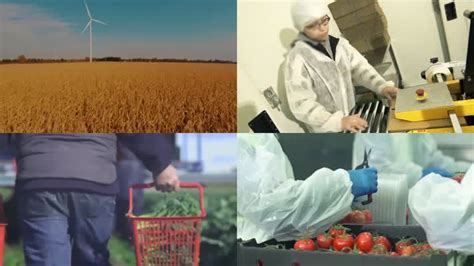 农田农业视频素材_红动网