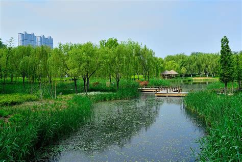 济南今年将新建25处公园，打造“生态幸福” -房价走势_楼市政策_济南房产网
