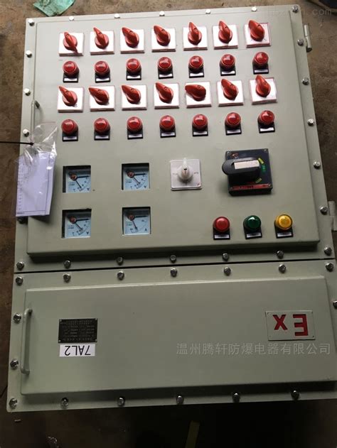 BXMD现场电伴热防爆控制柜厂家 加工订做-浙江腾轩防爆电器有限公司